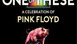 One Of These – A celebration of Pink Floyd / Animals Tour